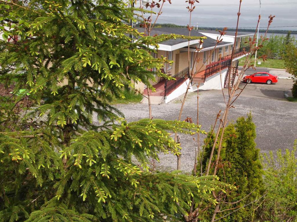 Motel Lyse Rimouski Exteriér fotografie